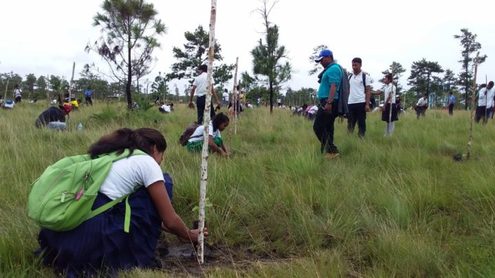 INAFOR realiza lanzamiento de Cruzada de Reforestación en Karawala
