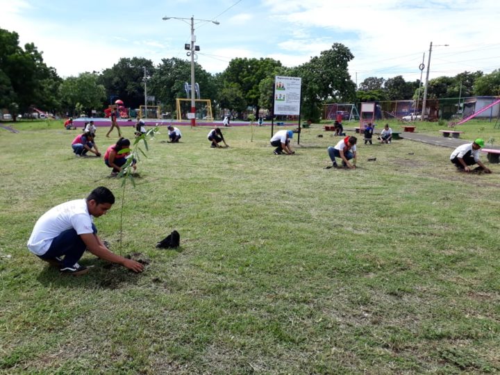 Jóvenes realizan jornada de reforestación en homenaje al Comandante Julio Buitrago