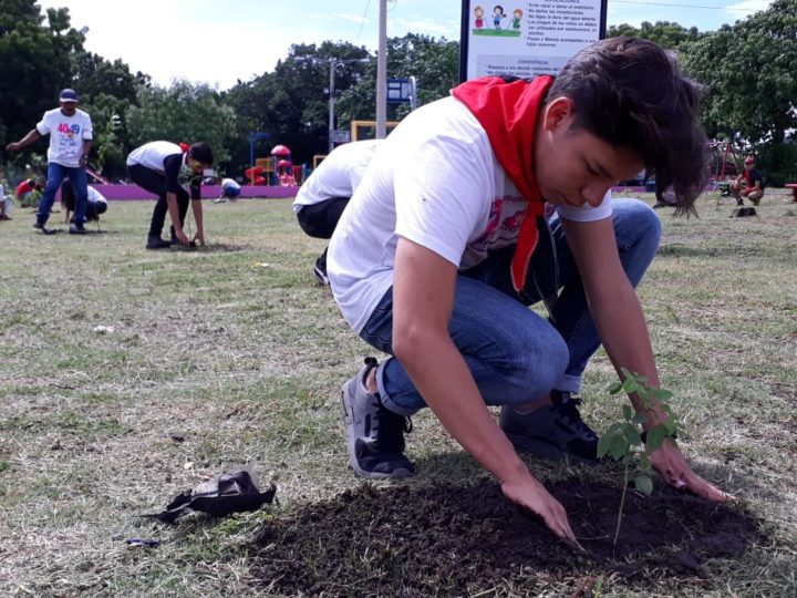 Jóvenes realizan jornada de reforestación en homenaje al Comandante Julio Buitrago