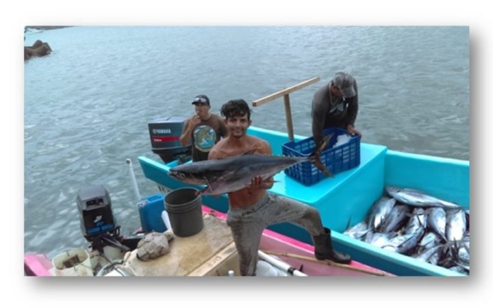 La producción pesquera se desarrolla en completa normalidad en el país