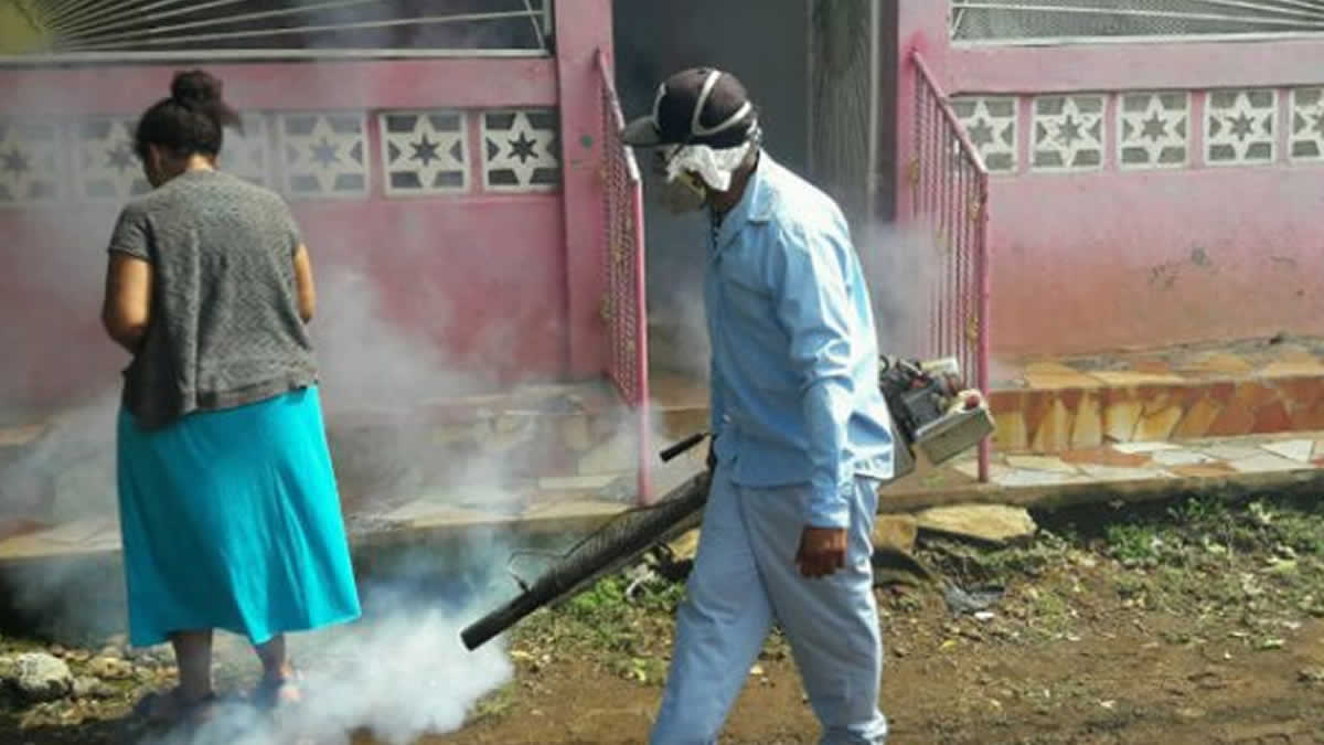 Brigadistas del MINSA luchan contra el mosquito en el barrio Hugo Chávez