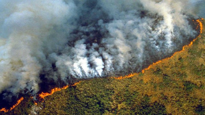 Selva amazónica Brasil incendios 