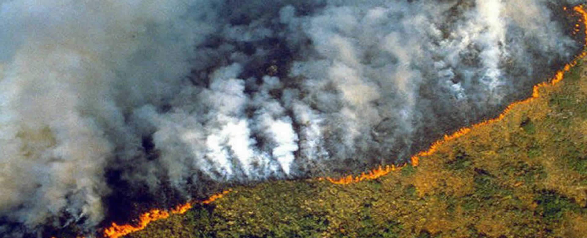 Selva amazónica Brasil incendios