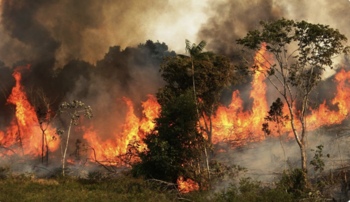 Fotos virales NO corresponde al actual incendio que consume la Amazonia
