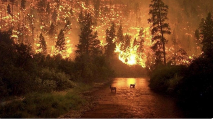 Fotos virales NO corresponde al actual incendio que consume la Amazonia