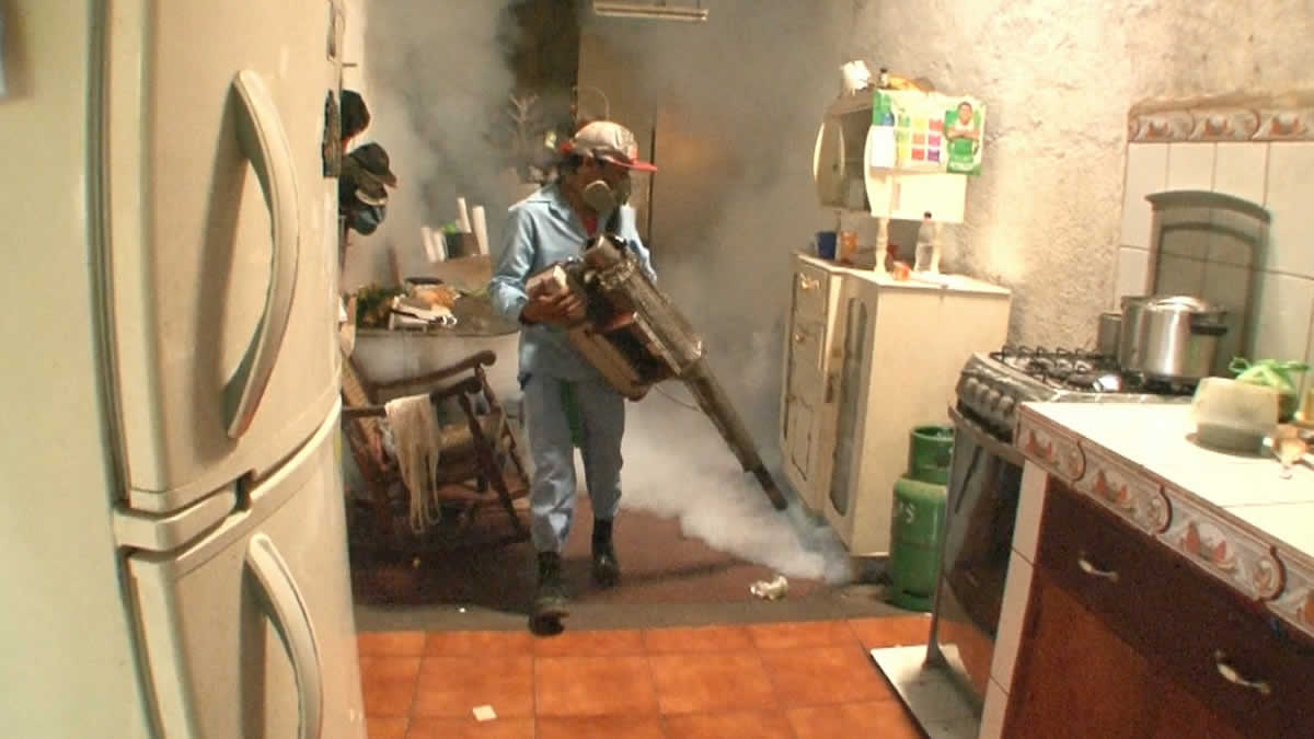 Ejército celestito combate al mosquito en el barrio Carlos Fonseca