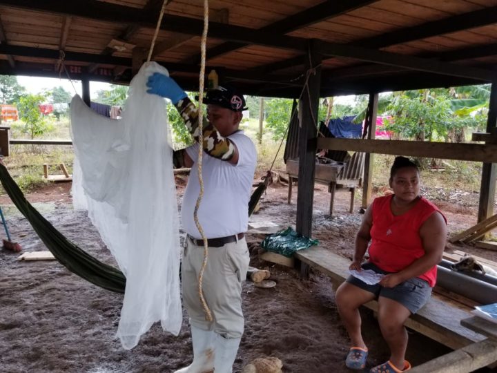 MINSA entrega más de 25 mil mosquiteros en el Caribe Sur