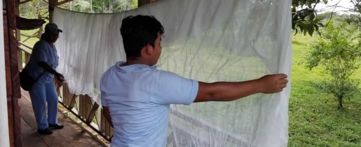 MINSA entrega más de 25 mil mosquiteros en el Caribe Sur