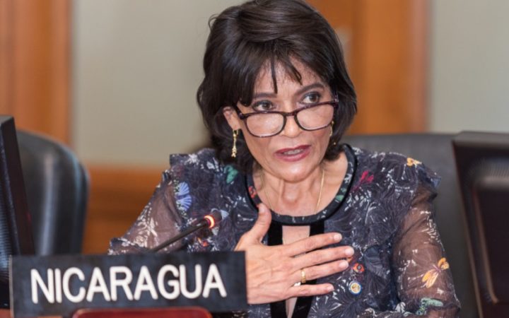 Delegación de Nicaragua se pronuncia en OEA ante la situación en Bolivia