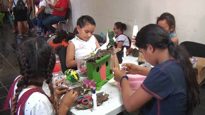 Niños de Managua son instruidos sobre el árbol de caoba y sus beneficios