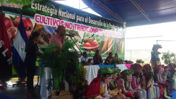 Presentan en Nicaragua estrategia de hortalizas no tradicionales 