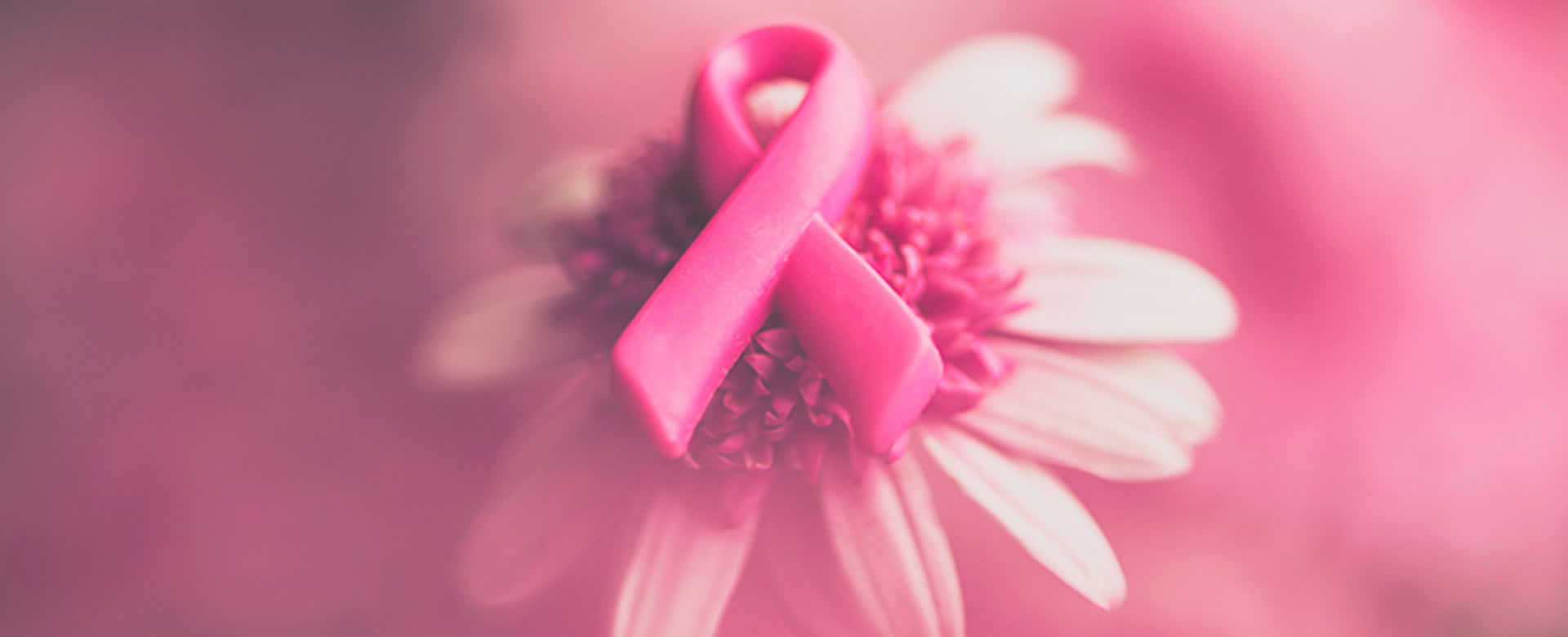 Lazo rosado es el símbolo de la lucha contra el cáncer de seno
