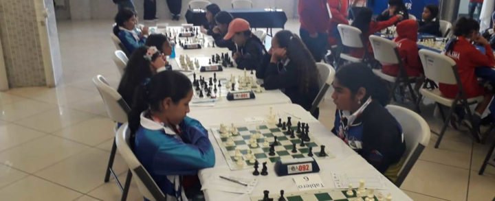 equipo femenino ajedrez codicader