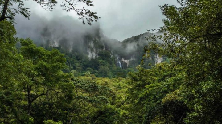 Nicaragua contará con 34 parques ecológicos municipales