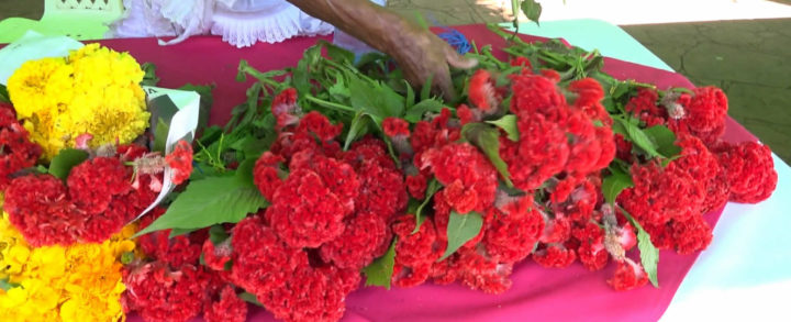 Bonitos arreglos florales se ofrecen en la Avenida de Bolívar a Chávez
