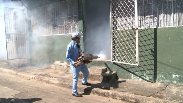 Brigadas del MINSA fumigan 680 viviendas del barrio Las Américas II