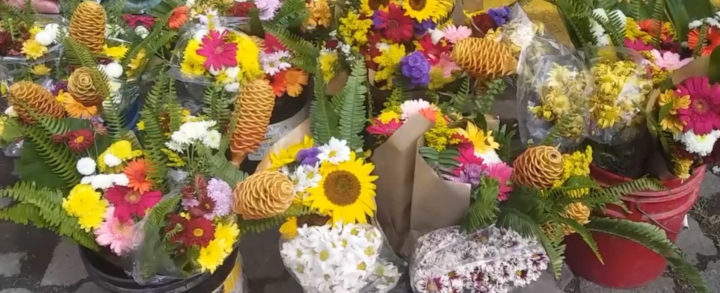 Comerciantes de flores están listos para el día de los difuntos en Jinotega