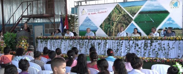 Nicaragua presenta Estrategia Nacional de Producción de arroz 2019-2023