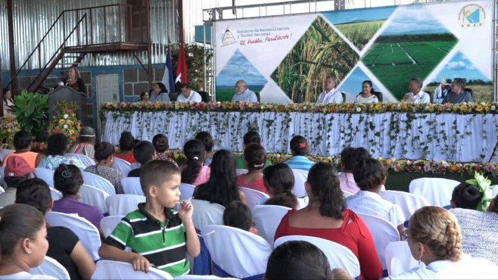 Nicaragua presenta Estrategia Nacional de Producción de arroz 2019-2023 