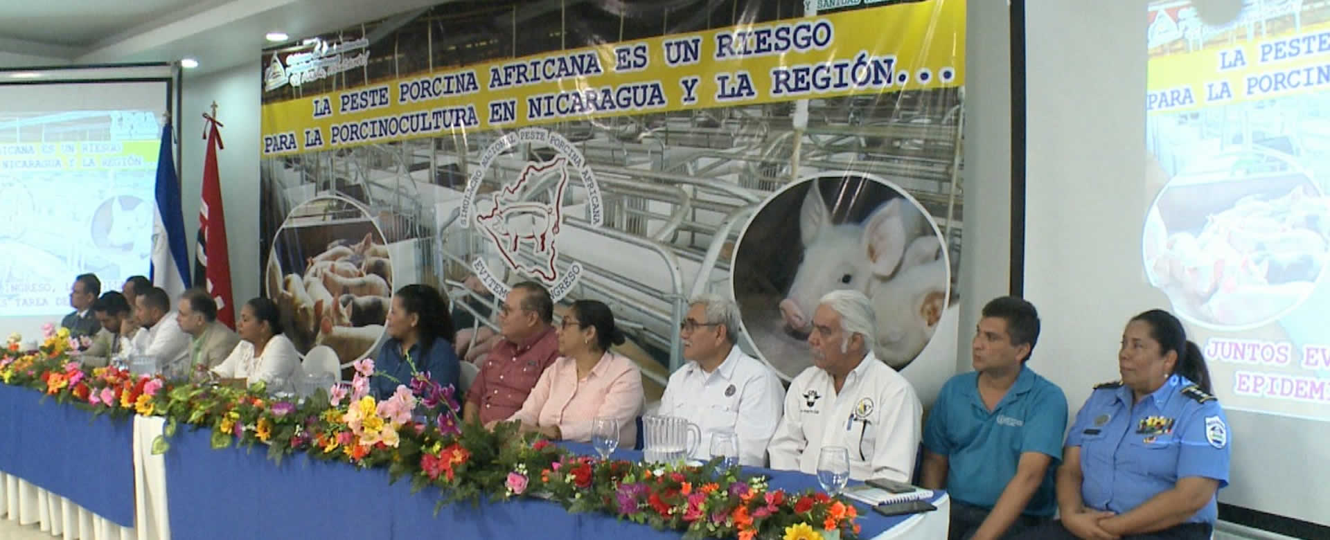 Nicaragua realiza simulacro de peste porcina africana