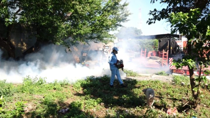 MINSA fumiga más de 600 viviendas del barrio Juan Emilio Menocal 