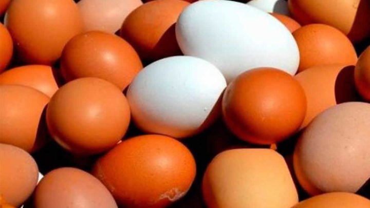Hombre Muere al ingerir 50 huevos por ganar una apuesta