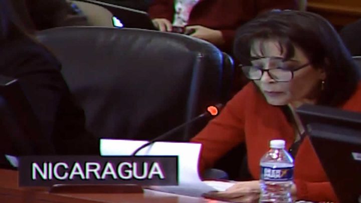 Nicaragua declara nulidad absoluta sobre injerencias expuestas en la OEA