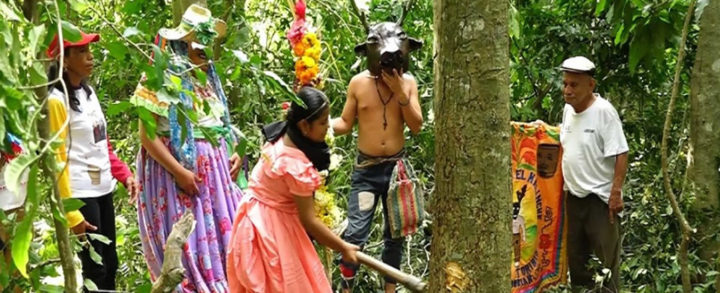 Torovenado El Malinche cortó su tradicional palo de acetuno