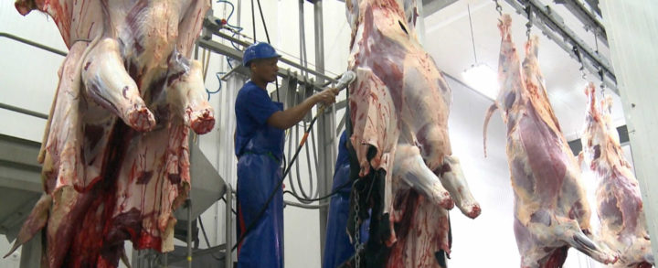 Nicaragua reporta crecimiento de 11% en la producción de carne