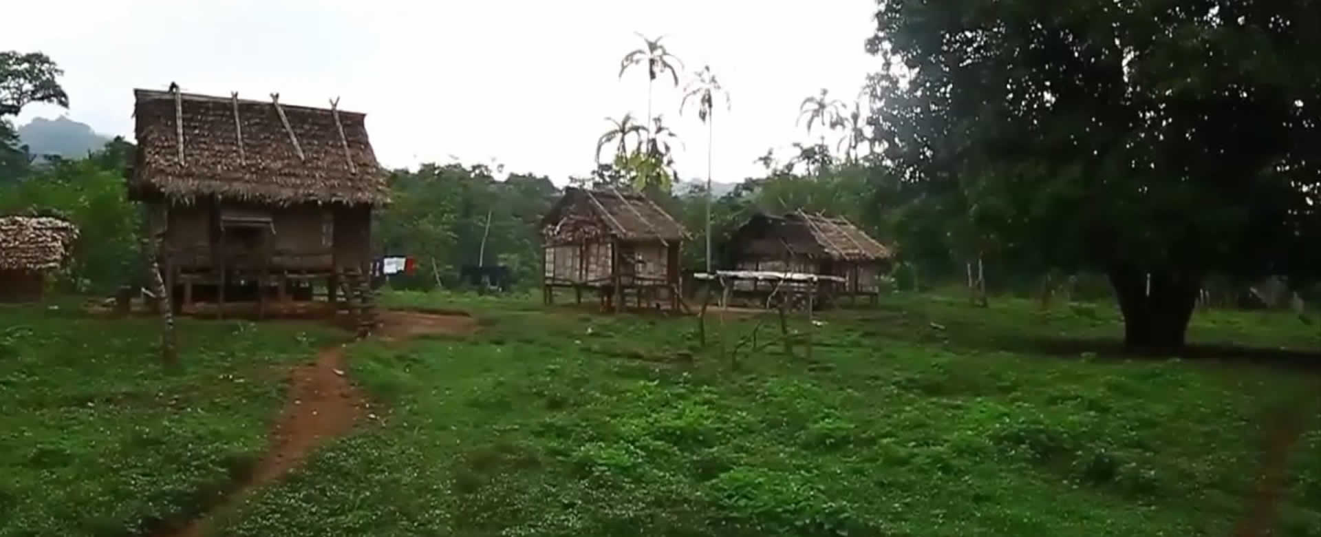 Área De Proyectos Instituto Nacional De Bosques