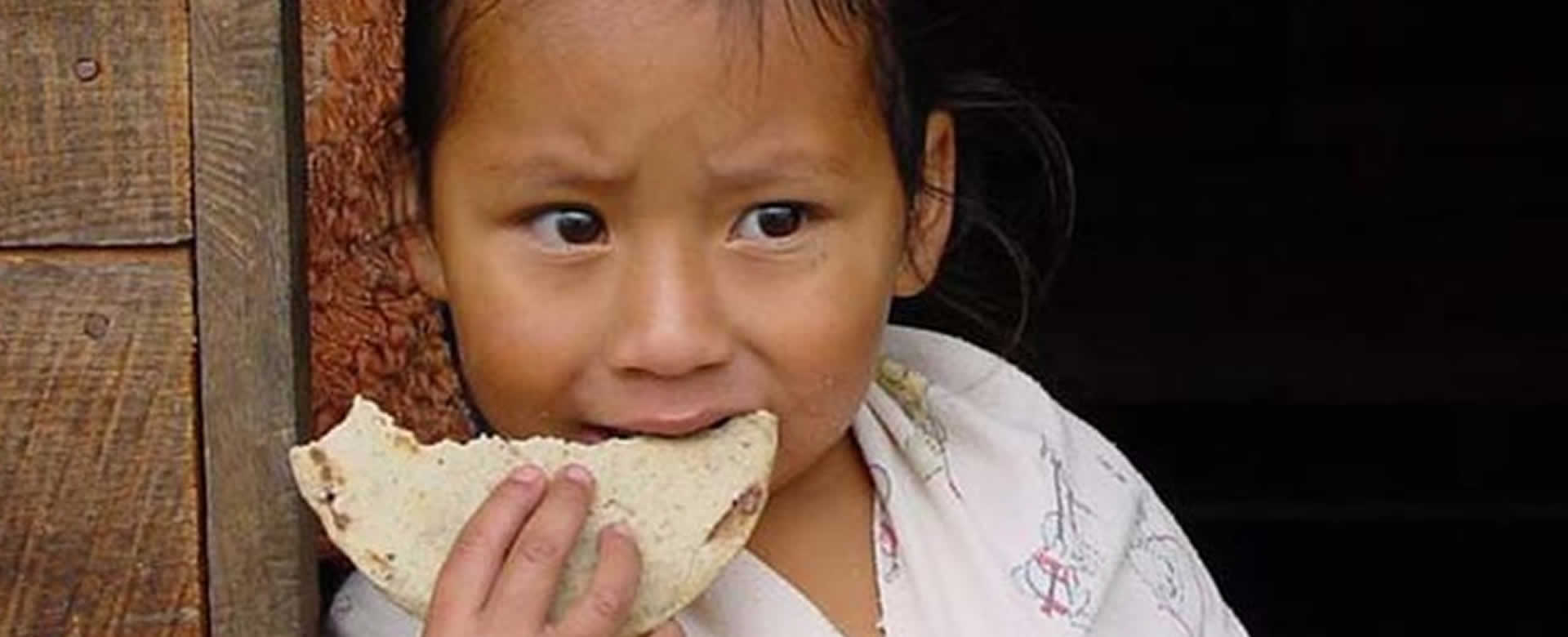 10 millones de niños podrán morir de hambre a causa del COVID-19