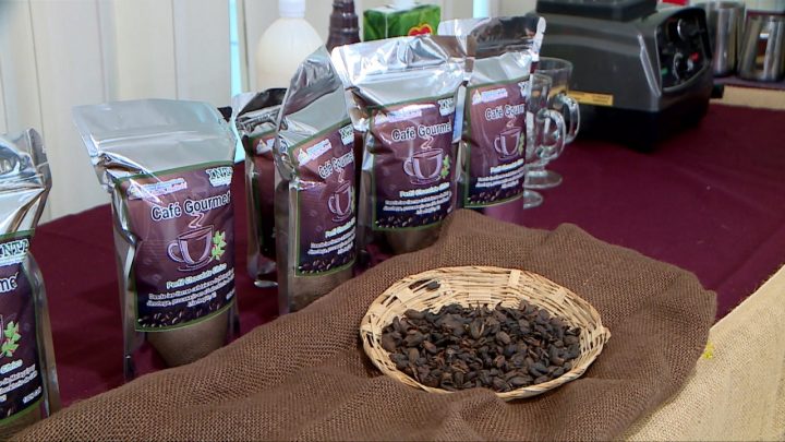 Nicaragua promueve y reconoce el trabajo de productores de café