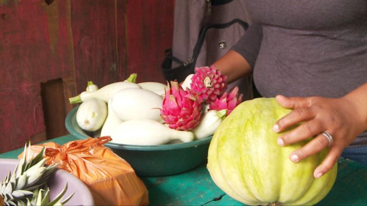 Patios Saludables aportan a la proyección de nuevos productores en Nicaragua