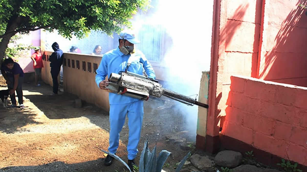 Barrio Ariel Darce combate al mosquito adulto mediante la fumigación