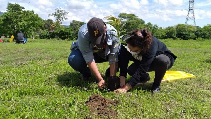 Realizan jornada de reforestación con plantas medicinales en Ticuantepe