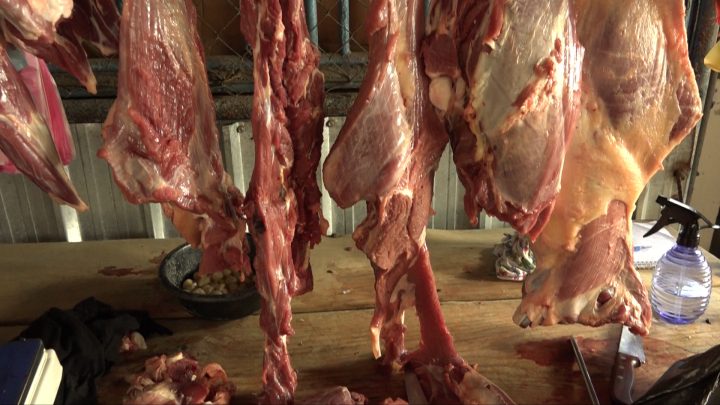 Nicaragua reporta crecimiento de 11% en la producción de carne