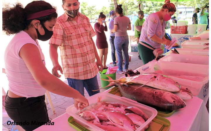 Protagonistas ofertan mariscos crudos y procesados en Managua