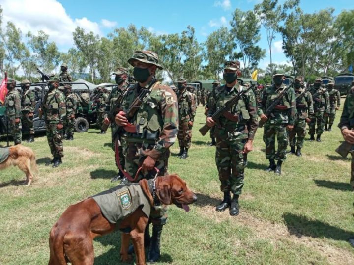 Ejército de Nicaragua inicia plan de seguridad cafetalera 2020-2021