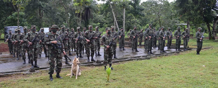 Ejército de Nicaragua brinda seguridad a caficultores de Nueva Guinea