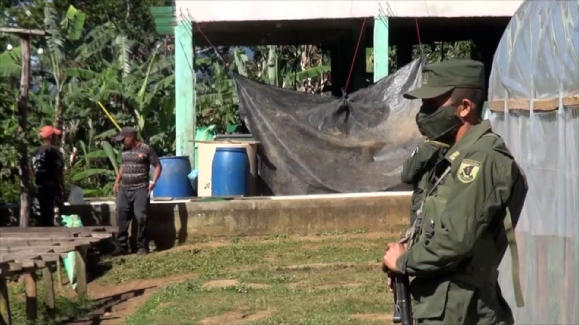 Ejército de Nicaragua brinda seguridad a cosechas cafetaleras en Madriz