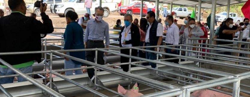 INTA inaugura granja de mejoramiento genético porcino en Chontales