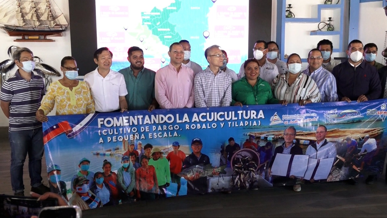 Nicaragua logra ser el mayor proveedor de langostas en mercado taiwanés