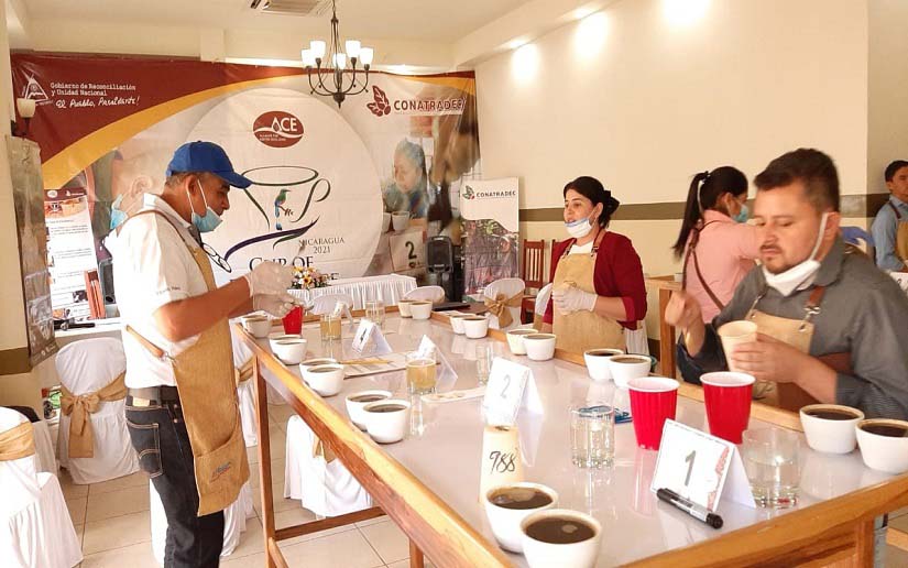 Café nicaragüense sorprende a jueces internacionales en certamen de excelencia