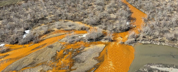 ríos alaska anaranjados