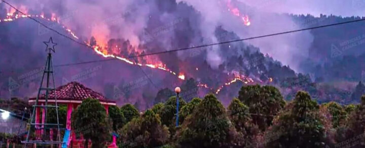 Incendio forestal dipilto muerte